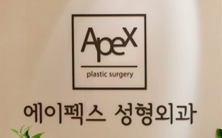 Эйпекс гоо сайхны мэс заслын эмнэлэг - Ёксам метро | APEX 에이펙스성형외과