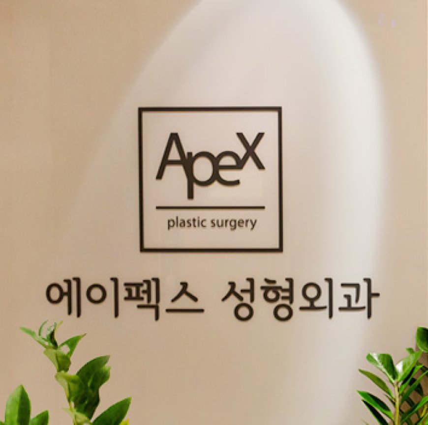 Эйпекс гоо сайхны мэс заслын эмнэлэг - Ёксам метро | APEX 에이펙스성형외과