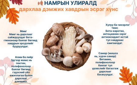 🍂 Намрын улирал – Дархлаа дэмжих, хавдраас сэргийлэх супер хүнсүүд!